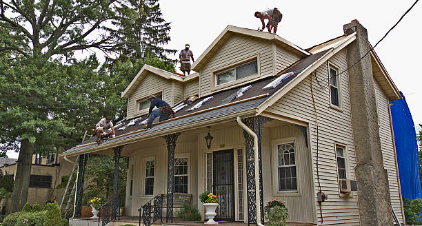 Roof Repair Estimates in Red Chute, LA