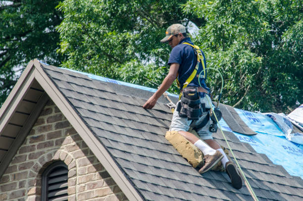 Best Shingle Roofing Installation  in Red Chute, LA